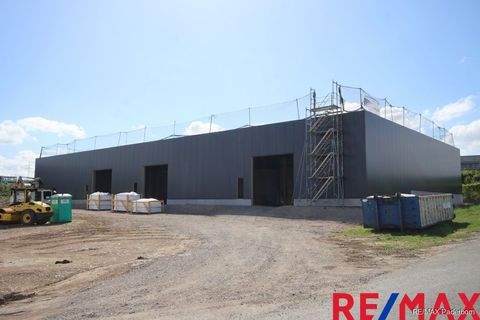 Paderborn Halle, Paderborn Hallenfläche