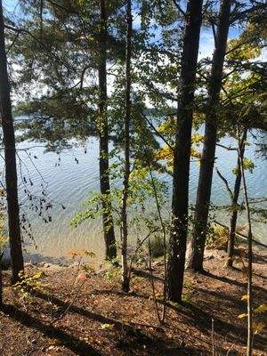 Steinberg am See (5).jpeg