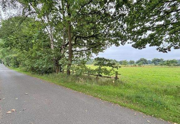 Ansicht von der Straße