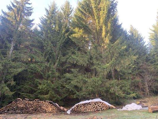 20231118_110937745_iOS