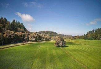 Wiehre-Günterstal: Für 4 sich einige Käufer, 4 Grü