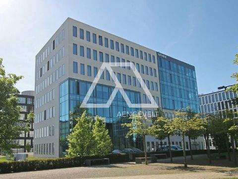 Düsseldorf Büros, Büroräume, Büroflächen 