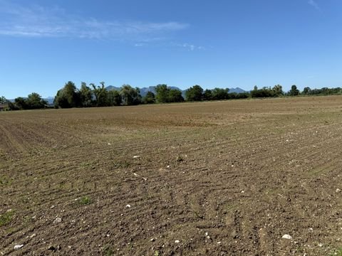 Übersee Bauernhöfe, Landwirtschaft, Übersee Forstwirtschaft