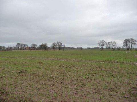 Badbergen Häuser, Badbergen Haus kaufen