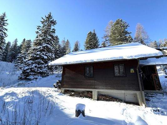 ... ganz nah am Wald