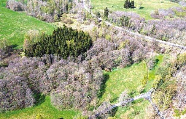 Luftaufnahme Flurstück 1272