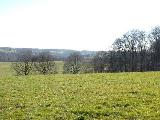 9a Garten + Terrassenblick