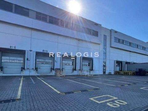 Brieselang Halle, Brieselang Hallenfläche