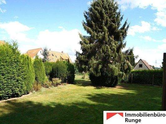 Alter Baumbestand.jpg