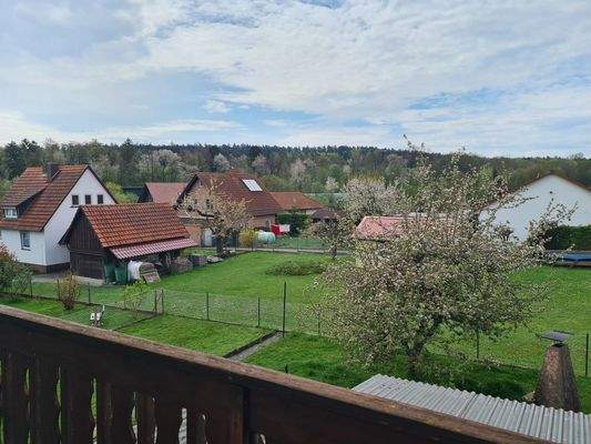 Blick vom Balkon (OG)