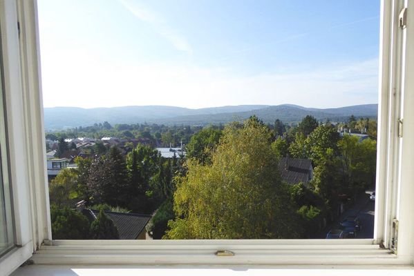 Ausblick nach Süden bis zum Lainzer Tiergarten