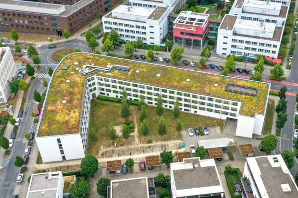 Die ZIMMEREI Frankfurt