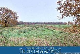 Blick auf die kleine Fläche