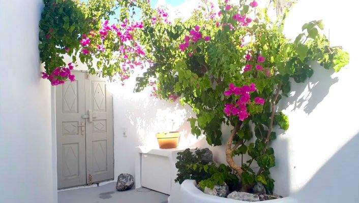 Bildschirmfoto 2026-02-19 um 12.49.40.jpeg