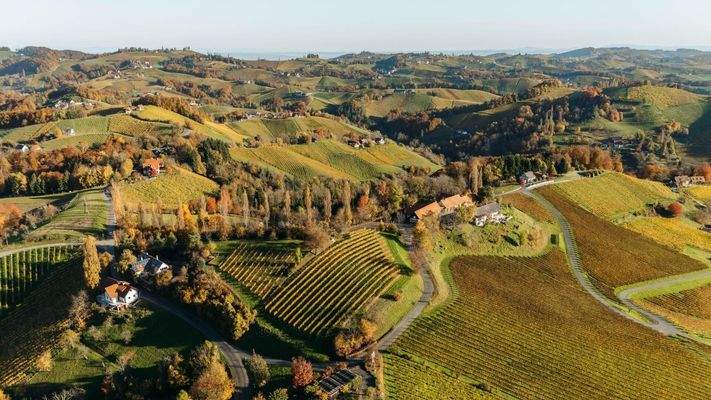 Neussl Eorykogel Liegenschaft 10 2025-1