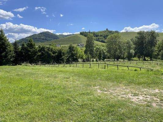 Leben, wo andere Urlaub machen!