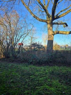 AMDI Spielplatz.jpeg