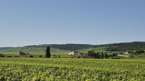 Nuits-Saint-Georges Renditeobjekte, Mehrfamilienhäuser, Geschäftshäuser, Kapitalanlage