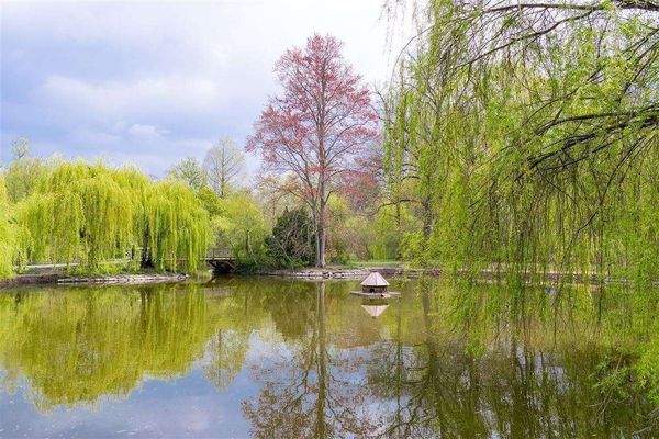 Stadtpark Steglitz