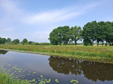 Neukamperfehn Bauernhöfe, Landwirtschaft, Neukamperfehn Forstwirtschaft