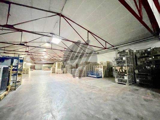 INFOS UNTER: 06171-586000