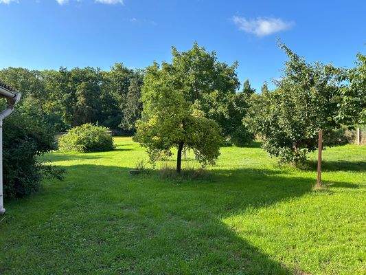 vorderer Gartenbereich.jpg