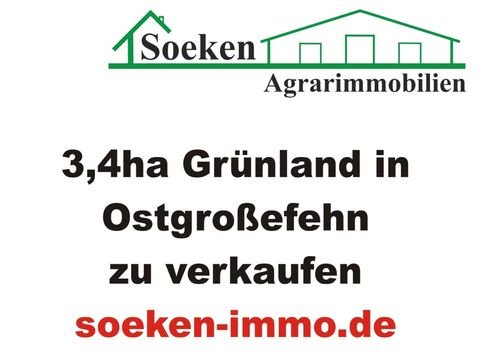 Großefehn Bauernhöfe, Landwirtschaft, Großefehn Forstwirtschaft