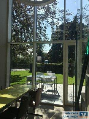 Blick in den Garten2