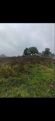 Baugrundstück Grevelau #1