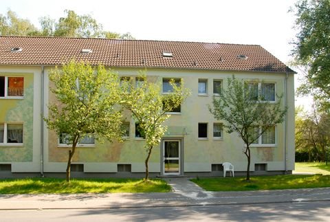 Recklinghausen Wohnungen, Recklinghausen Wohnung mieten