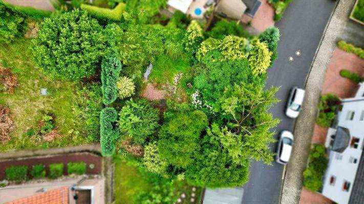 Baugrundstück in Hanglage