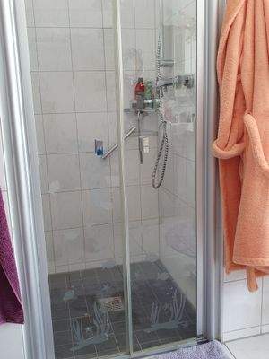 Barrierefreie Duschkabine