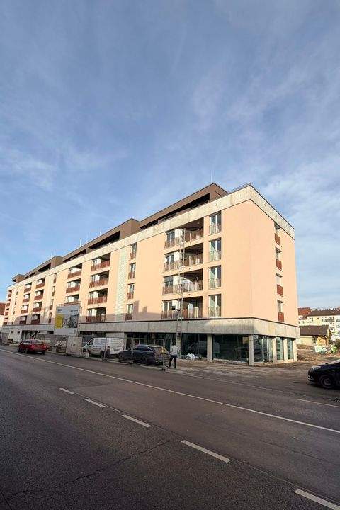 Singen Wohnungen, Singen Wohnung mieten