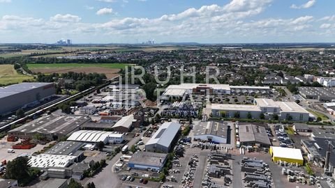 Pulheim Halle, Pulheim Hallenfläche