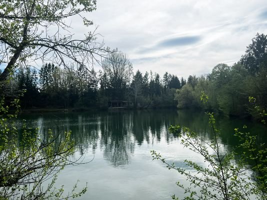 Blick auf See/Teich