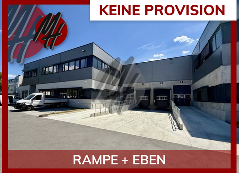 Kelsterbach Halle, Kelsterbach Hallenfläche