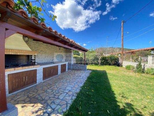 img_9ea01848-a19a-4977-9496-bc0507e85b2f