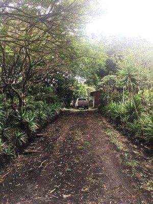 ImmoScout360 Farmland 2,5 ha Zufahrt