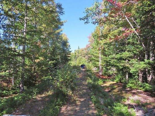 Cape Breton - Bras d`Or Lake - Tolles See-Ufergrun