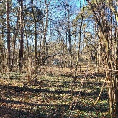 Blick auf das Grundstück