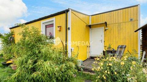 Gifhorn Häuser, Gifhorn Haus kaufen