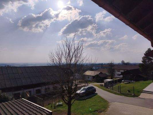 MVIMG_20260318_145902