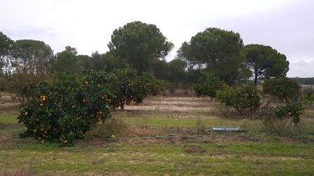 56591b8d-67a4-43cd-8f98-dabb0f02e2e0