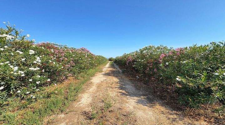 WhatsApp Image 2025-12-09 at 15.34.34