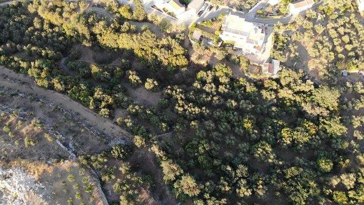 Kreta, Neo Chorio: Charmantes Baugrundstück mit Olivenbäumen und Panoramablick im Apokoronas zu verkaufen