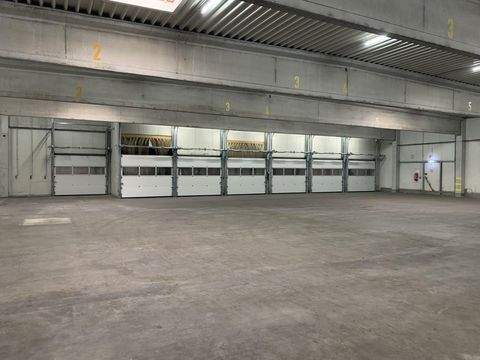 Bergkamen Halle, Bergkamen Hallenfläche