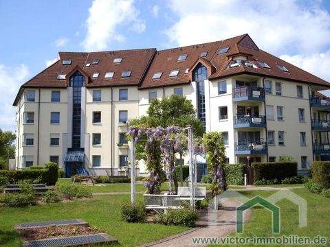 Werder (Havel) Wohnungen, Werder (Havel) Wohnung mieten