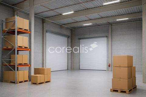 Köln Halle, Köln Hallenfläche