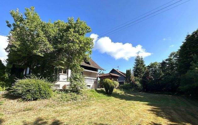 Garten seitlich zum Haus