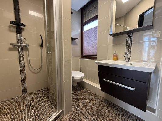 modernes Duschbad im Erdgeschoss